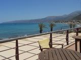 Amarillis Cafe - Bar