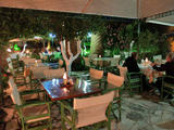 Kactus cafe & taverna