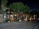 Kactus cafe & taverna
