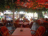 Acropolis Family taverna