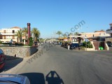 Gerani