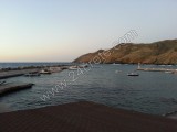Panormo