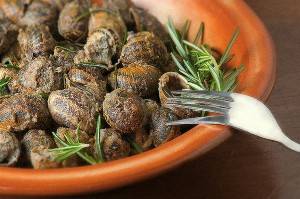 Fried snails