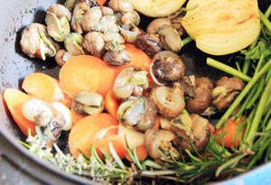 Snails with vine shoots and wild carrot